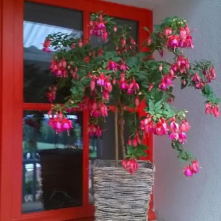 Bella Vista Holiday home