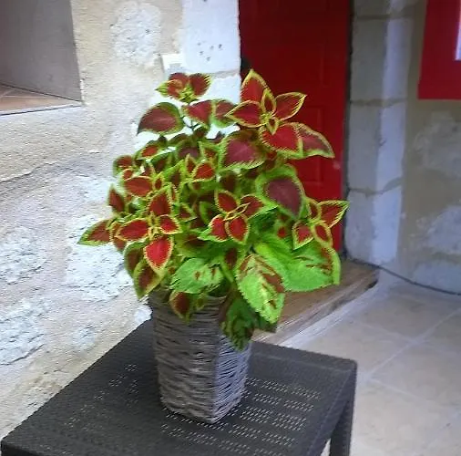 Bella Vista Сasa de vacaciones Aubeterre-sur-Dronne