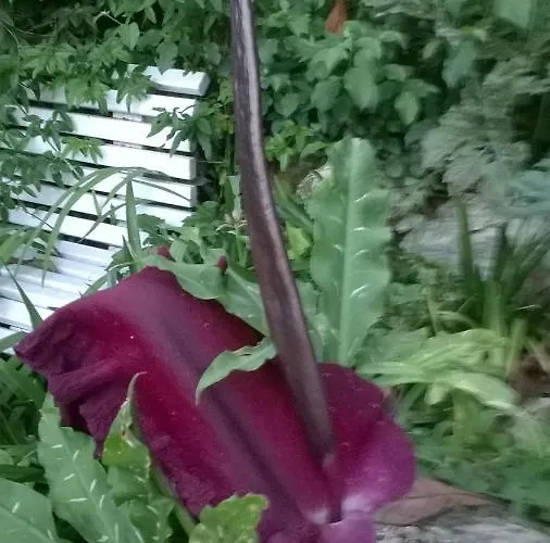 Bella Vista Сasa de vacaciones Aubeterre-sur-Dronne