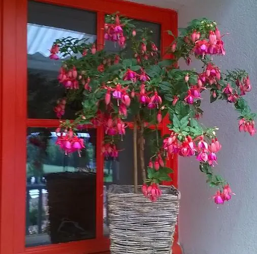 Bella Vista Сasa de vacaciones